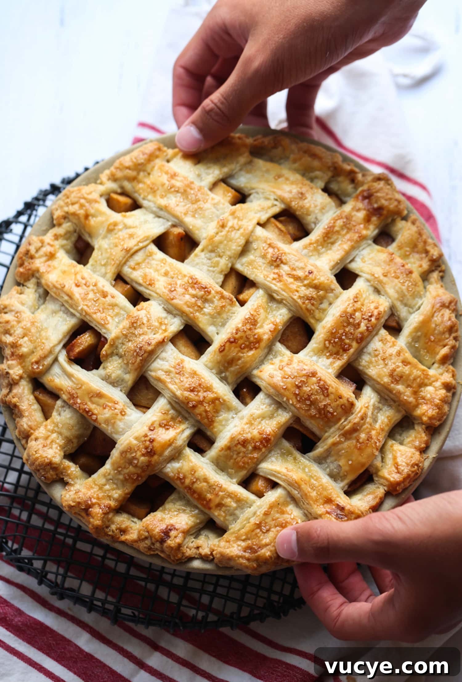 Bake! Overhead view of two hands setting down an baked apple pie with a lattice crust.