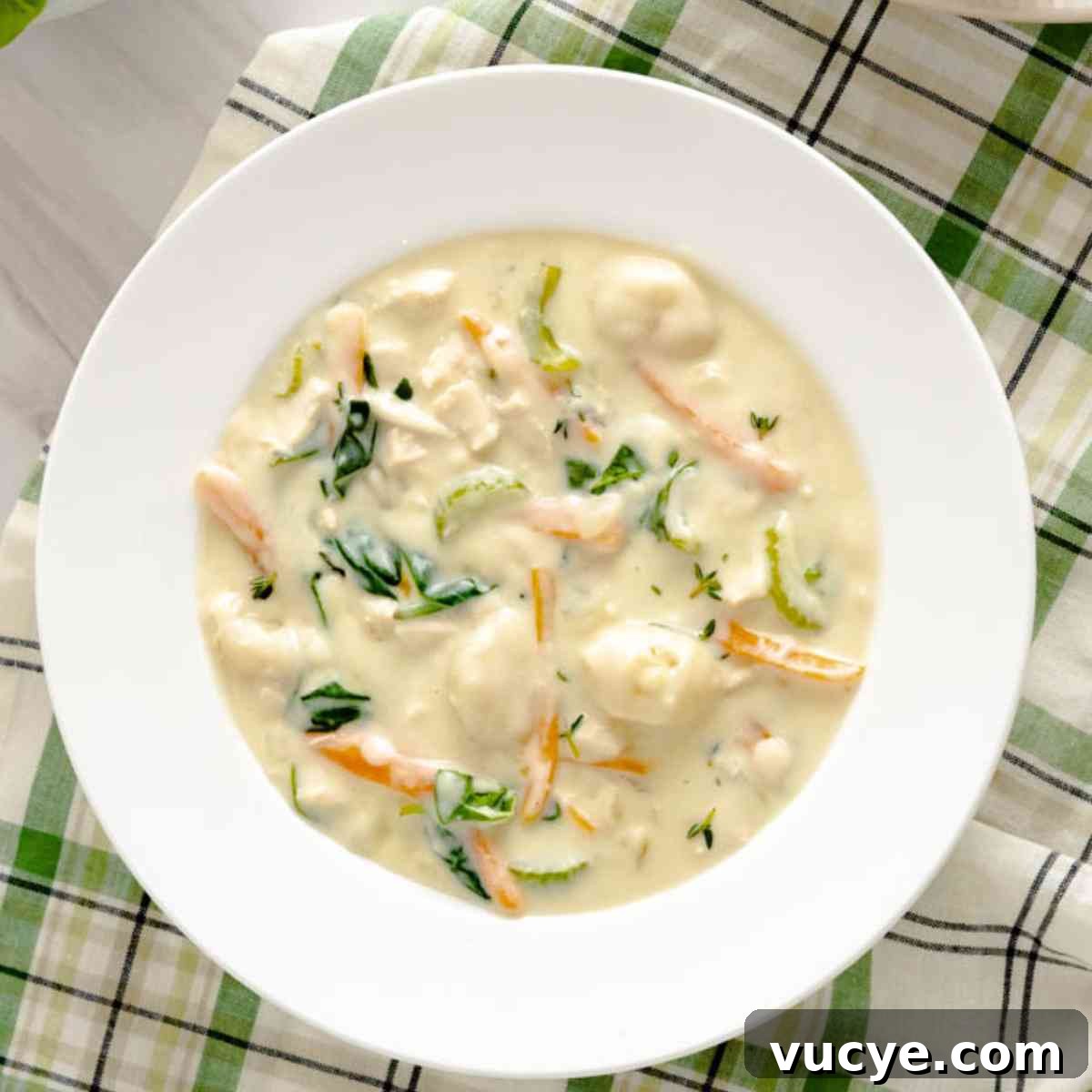 instant pot chicken and gnocchi soup category.