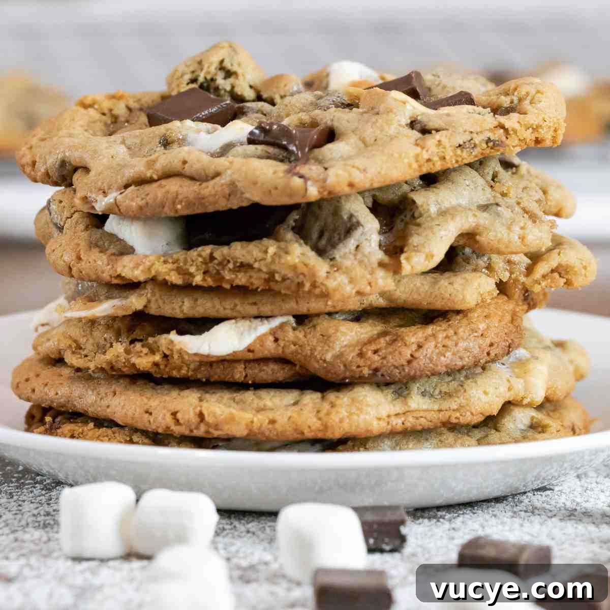chocolate chunk marshmallow cookies featured image.