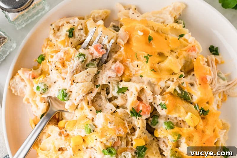 Creamy Chicken Noodle Casserole with Crispy Topping 11 top-down view of the Chicken Noodle Casserole served on a white plate.