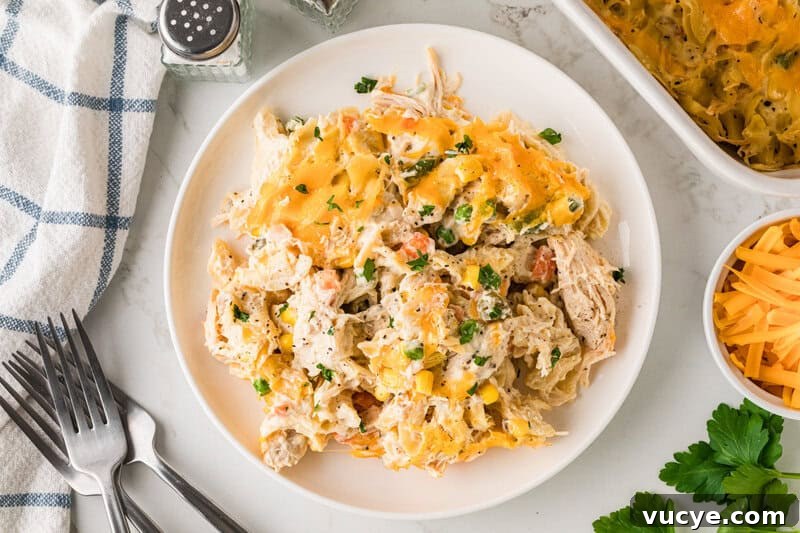 Creamy Chicken Noodle Casserole with Crispy Topping 4 top-down view of the Chicken Noodle Casserole.