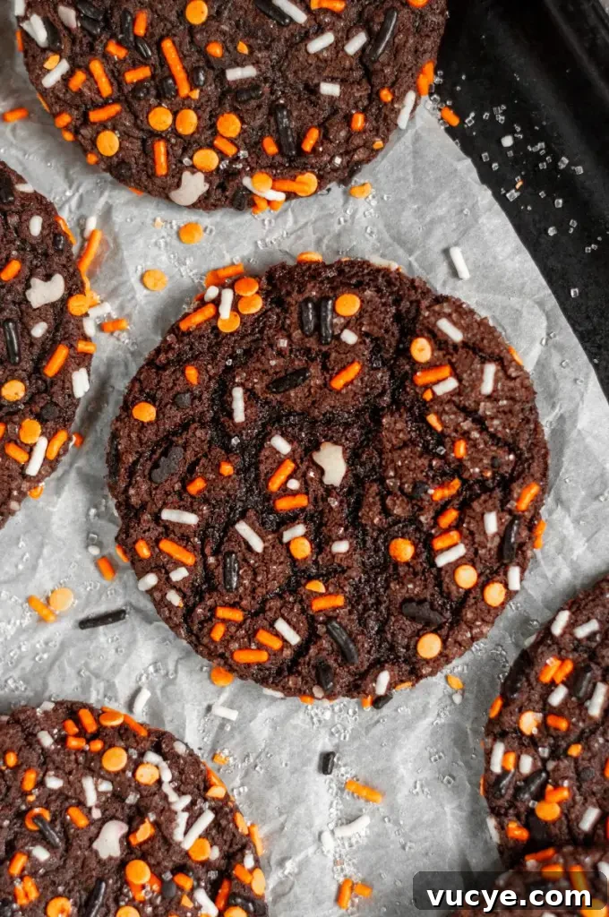 Dark black chocolate cookies covered in halloween inspired sprinkles.