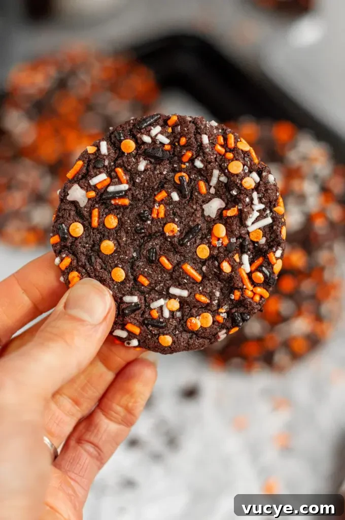 Dark black chocolate cookies covered in halloween inspired sprinkles.