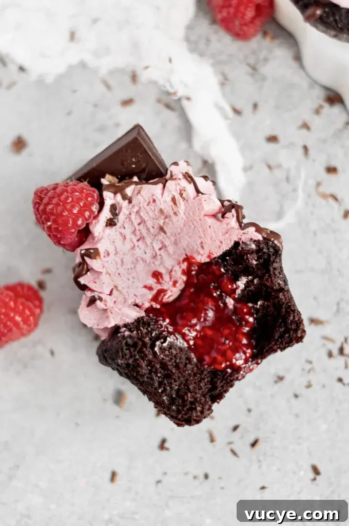 Dark chocolate cupcakes with pink raspberry buttercream swirled on top.