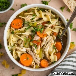 Top Rotisserie Chicken Recipes You’ll Want to Try 7 Overhead view of rotisserie chicken noodle soup in white bowl with spoon.