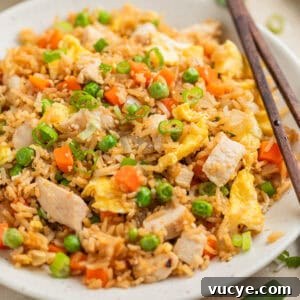 Top Rotisserie Chicken Recipes You’ll Want to Try 8 White plate with chicken fried rice topped with sliced scallions.