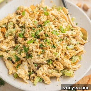 Top Rotisserie Chicken Recipes You’ll Want to Try 9 Curry chicken salad on plate with spoon.