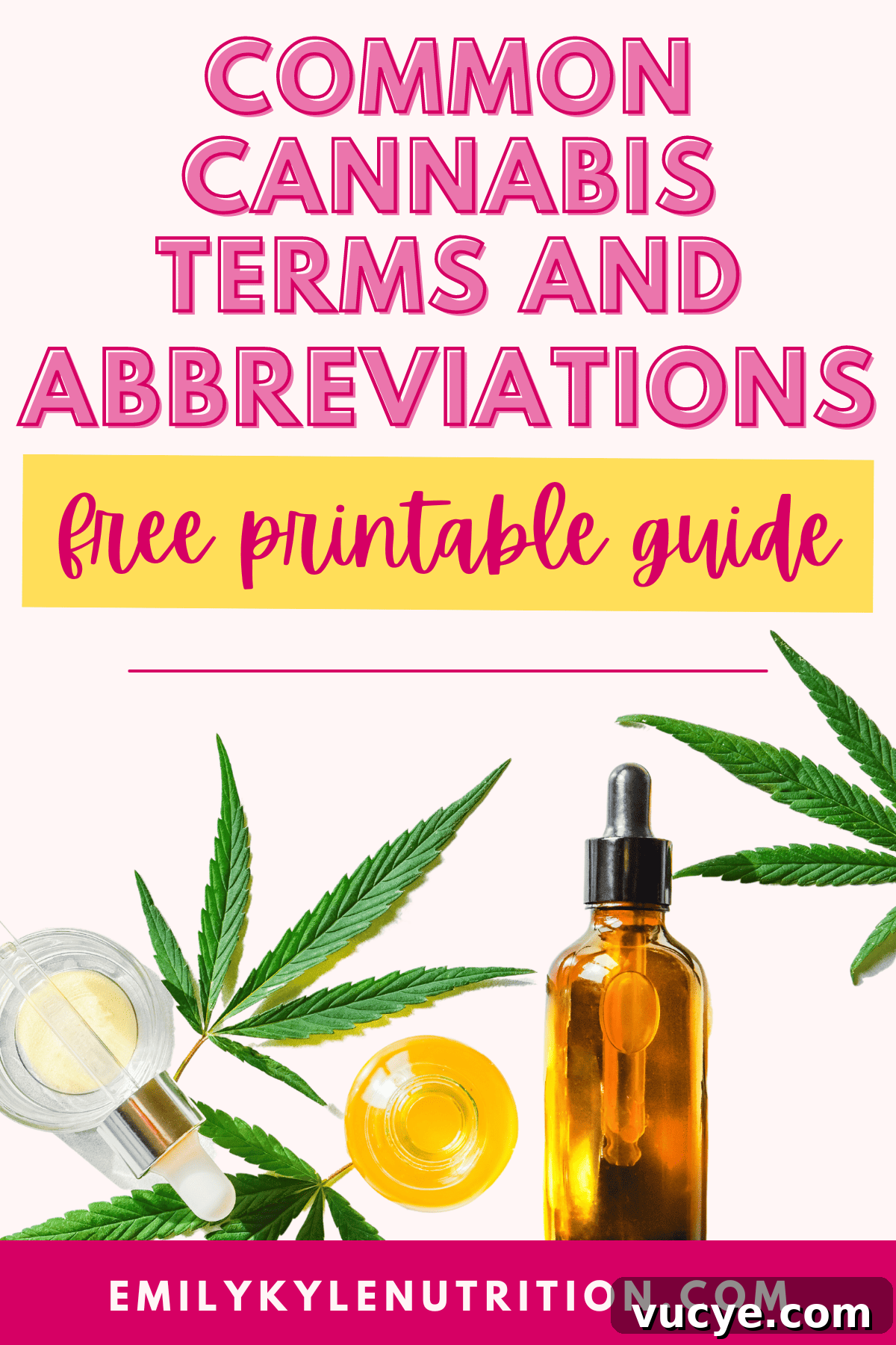 Text that says Cannabis Terms and Abbreviations Free Printable Guide with a cannabis leaf and tincture bottle. 
