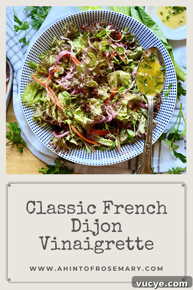 Authentic French Dijon Vinaigrette Recipe for Salads 14 Classic French Dijon Vinaigrette
