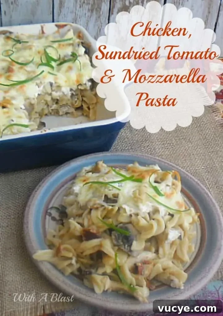 Chicken Sundried Tomato and Mozzarella Pasta closeup