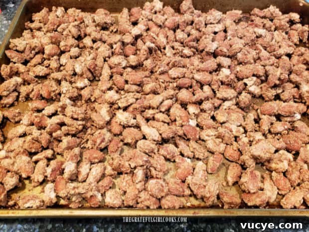 Cooling almonds A baking sheet full of cinnamon glazed almonds, cooling to room temperature after baking.