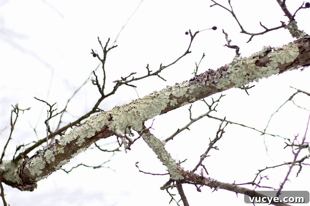 When All is Stripped Away - a test of faith in the tough times | fedandfulfilled.com