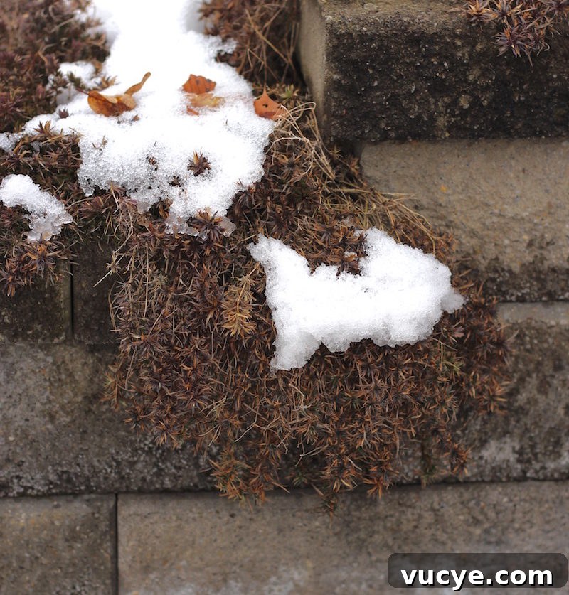 When All is Stripped Away - where do you turn when you don't have anything left? | fedandfulfilled.com