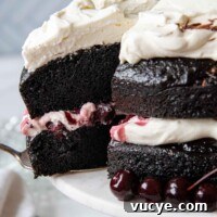 Close up of the completed Gluten-Free Black Forest Cake.