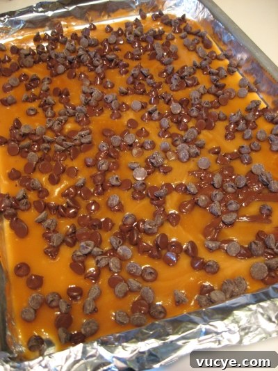 toffee-with-chocolate-chips img 5239 5