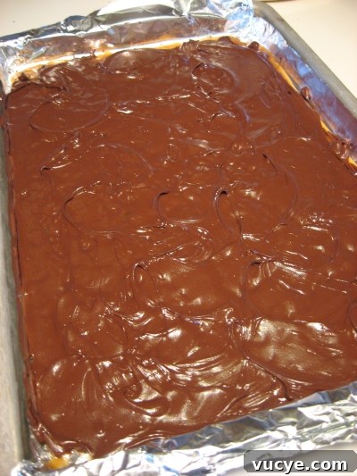 toffee-with-chocolate img 5239 6