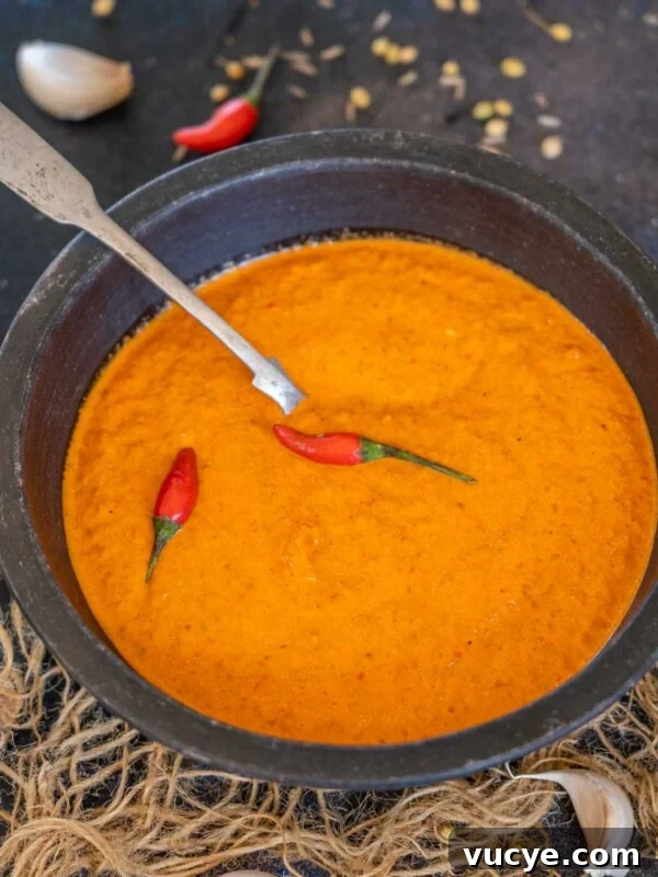 North African & Middle Eastern Spicy Harissa Sauce.