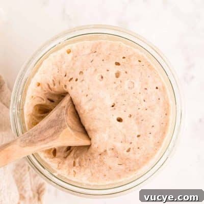 Create a Sourdough Starter at Home: Step-by-Step Guide 11 A wooden spoon scooping sourdough starter out of a glass jar.