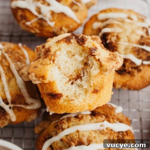 A close up of a cinnamon muffin with a bite taken out of it.