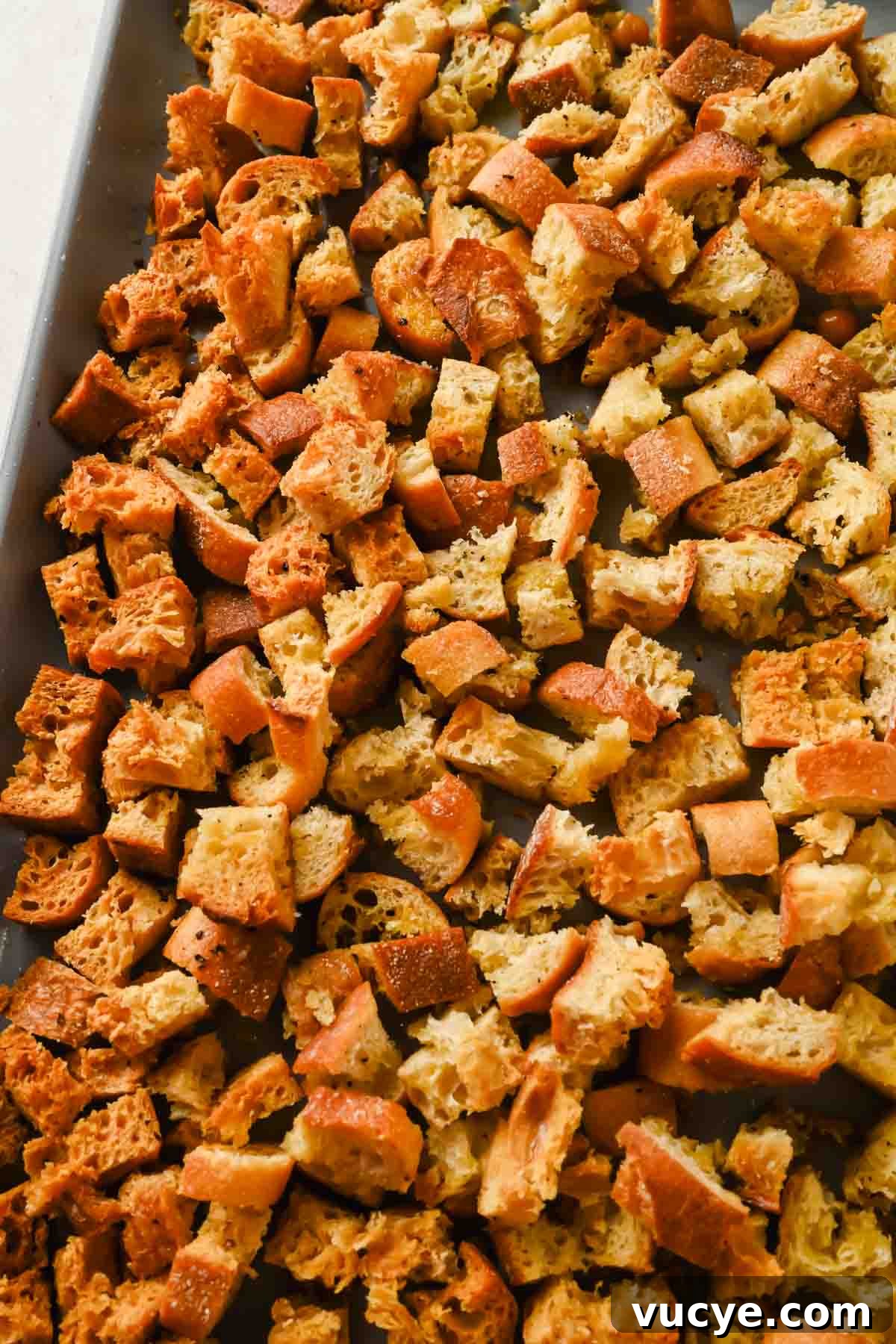 Creamy Caesar Pasta Salad with Crispy Croutons and Parmesan 5 img 54472 4