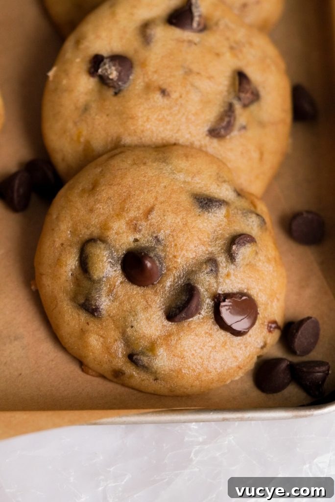 Banana Bread Cookies Recipe: Soft, Chewy Banana Cookie Treats 4 Banana Chocolate Chip Cookies