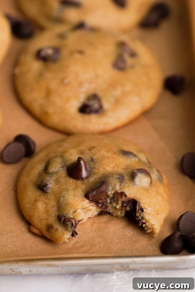 Banana Bread Cookies Recipe: Soft, Chewy Banana Cookie Treats 6 Banana Bread Chocolate Chip Cookies