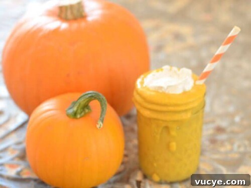 Pumpkin Spice Smoothie