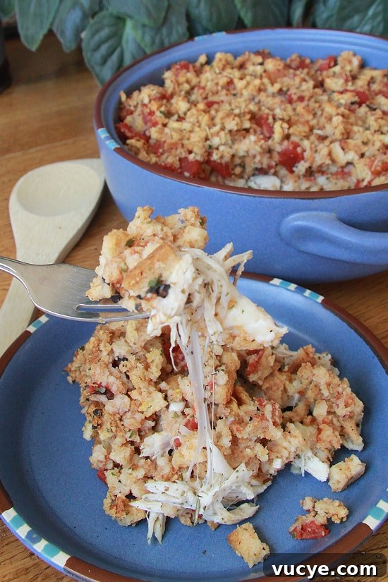 Melted mozzarella cheese with shredded chicken and stuffing.