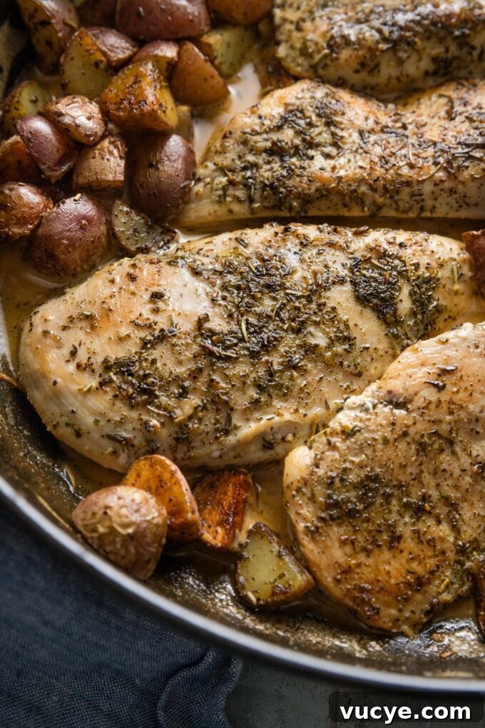 Creamy Dijon Chicken with Roasted Potatoes Recipe 8 Close up view of a chicken breast seasoned generously with Herbes de Provence, pan-fried, and served with a Dijon cream sauce.