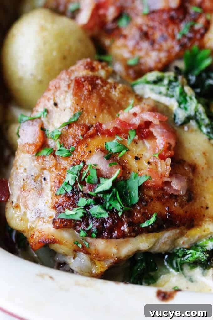 Tuscan chicken and potatoes in creamy garlic Parmesan sauce, close up shot