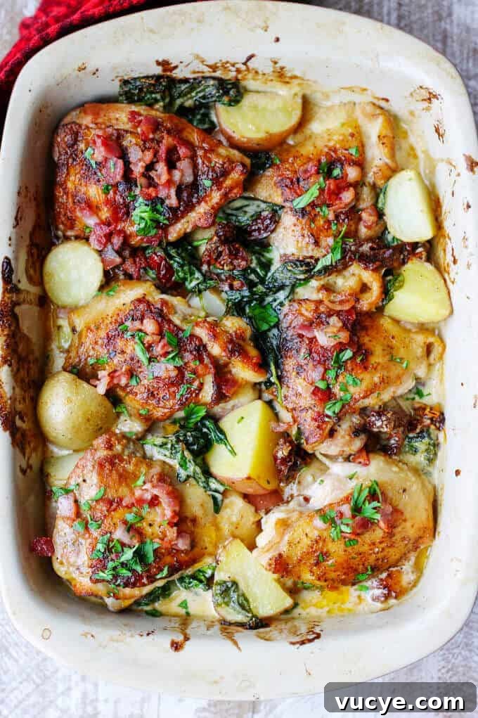 Tuscan chicken and potatoes casserole with sun dried tomatoes, overhead shot