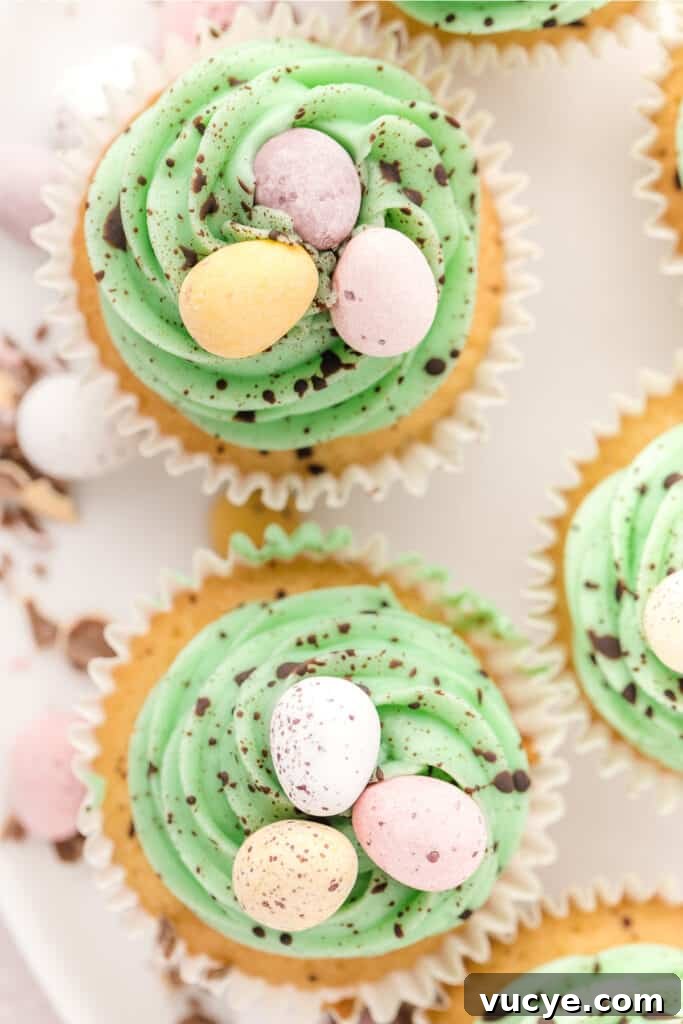 Silky Swiss Meringue Buttercream Recipe for Perfect Frosting 14 looking down on two cupcakes topped with swiss meringue buttercream
