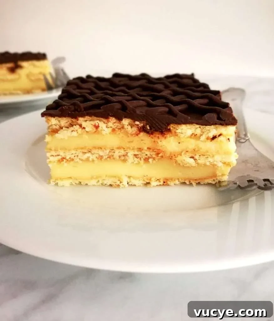 vanilla no bake biscuit cake slice side view