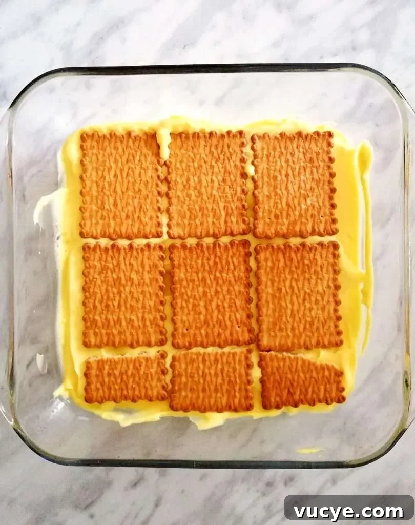 vanilla no bake biscuit cake second cookie layer