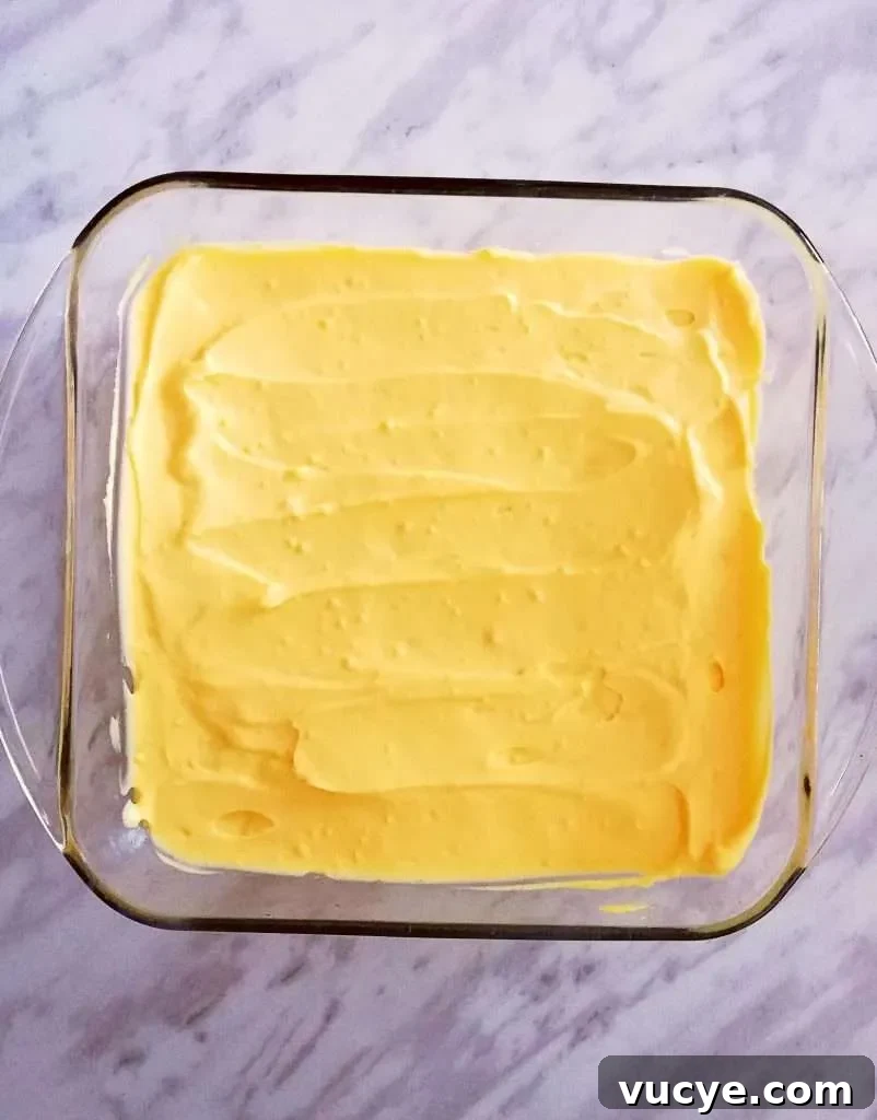 vanilla no bake biscuit cake final custard layer