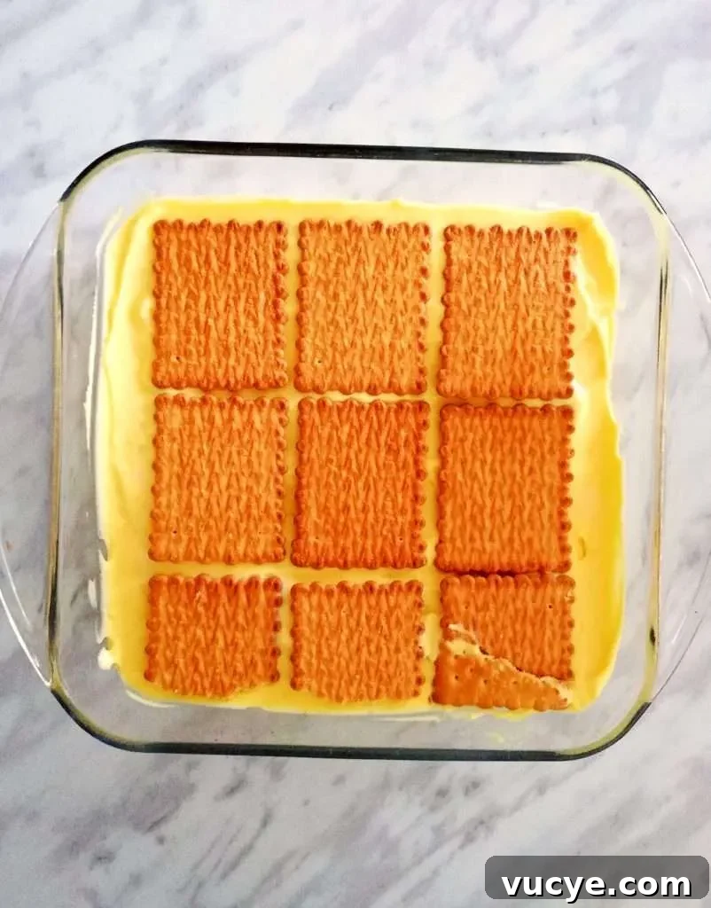 vanilla no bake biscuit cake final cookie layer