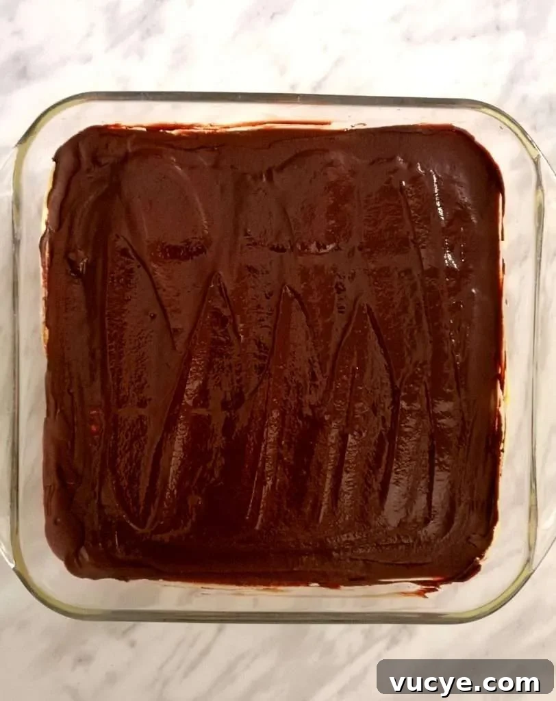 vanilla no bake biscuit cake chocolate topping