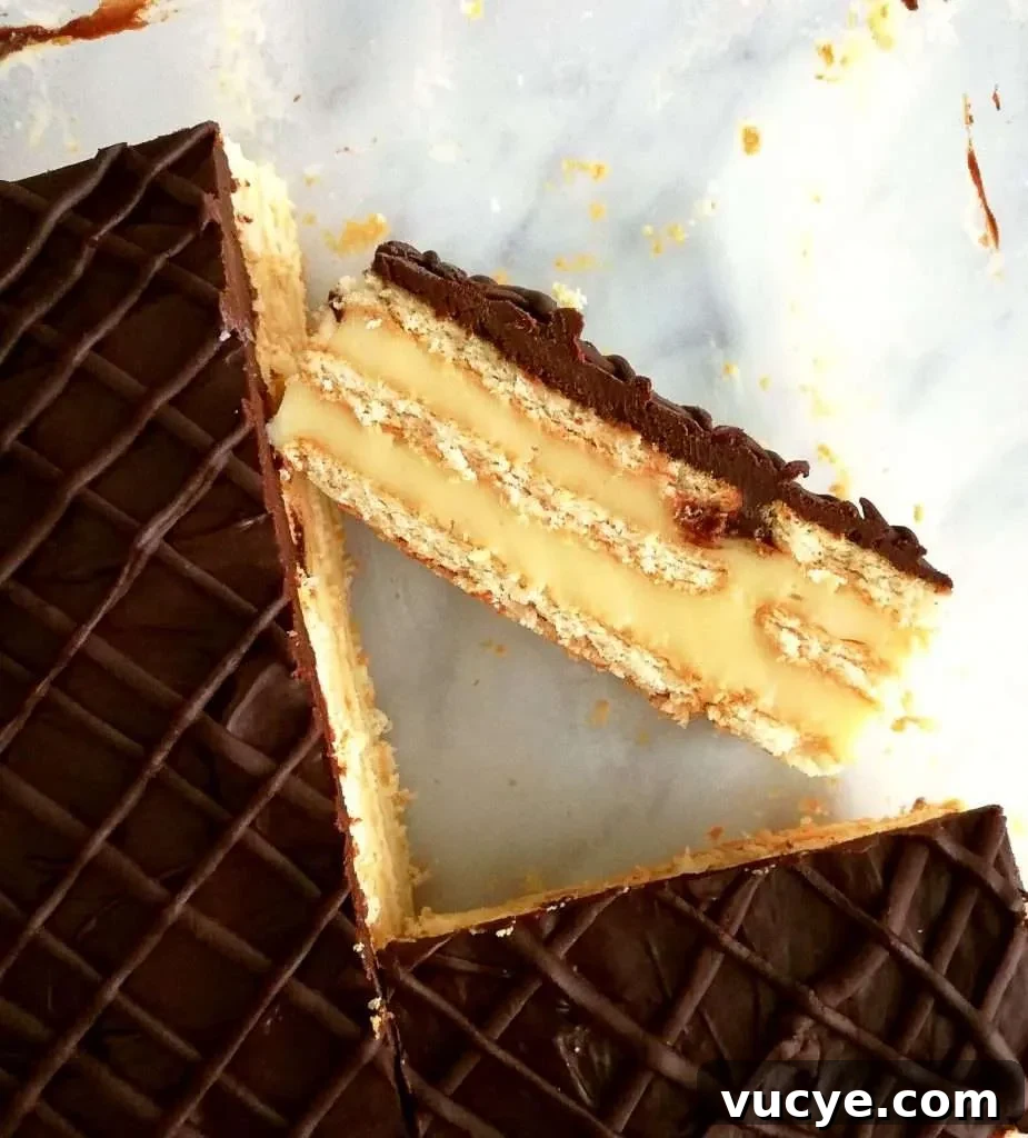 vanilla no bake biscuit cake overhead close up on slice