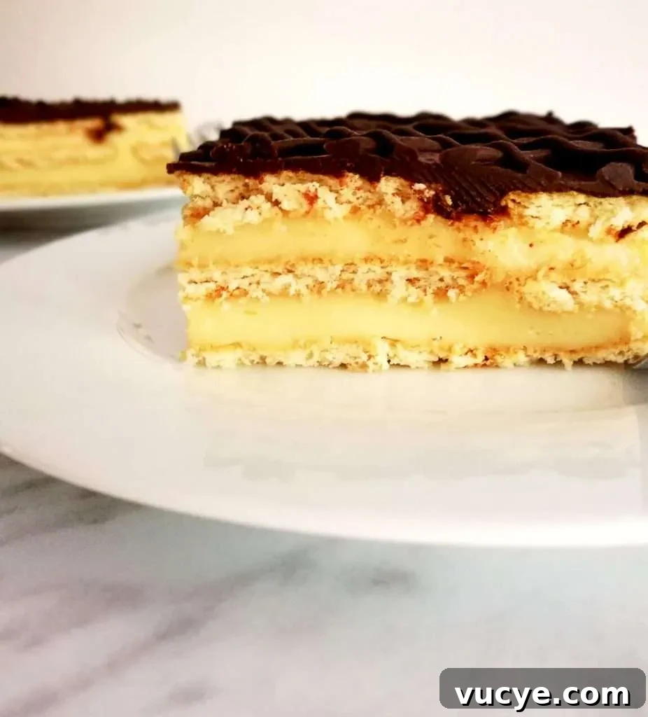 vanilla no bake biscuit cake slice side view