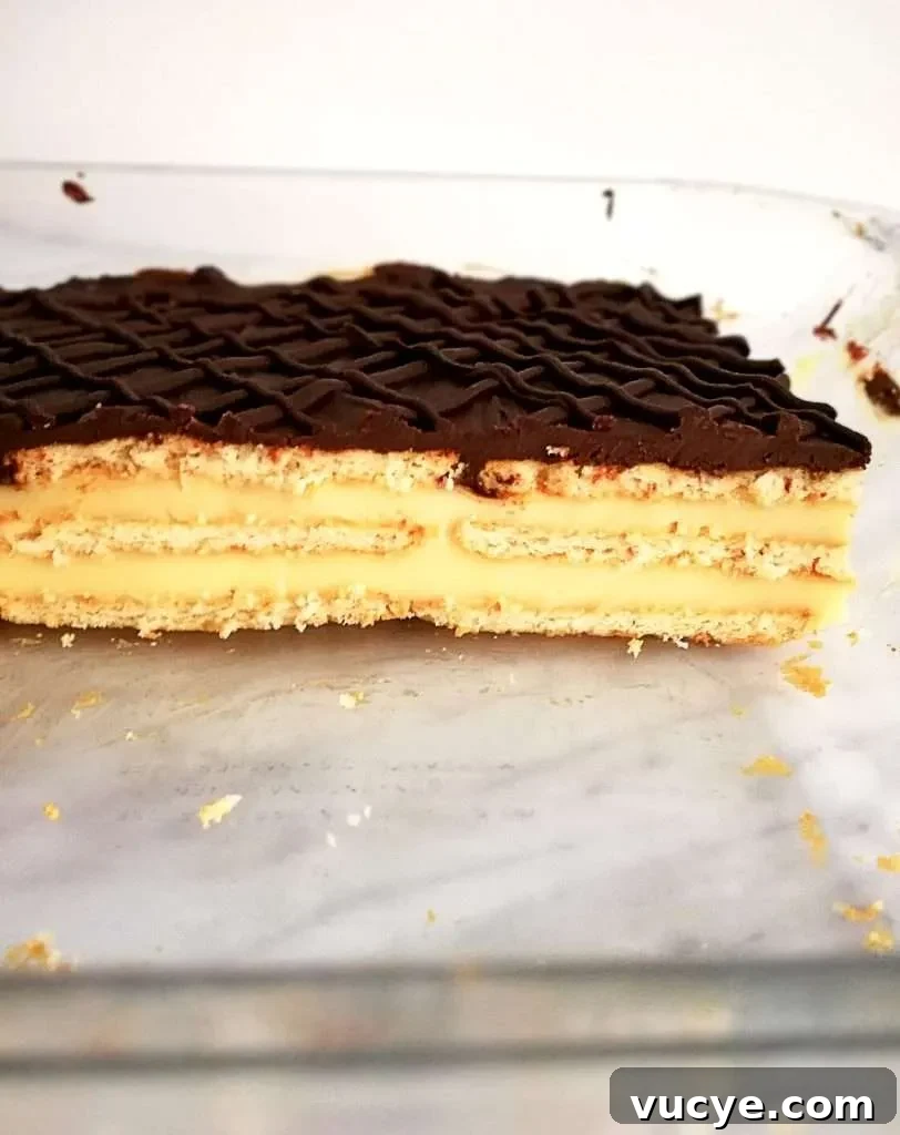 vanilla no bake biscuit cake side view in dish