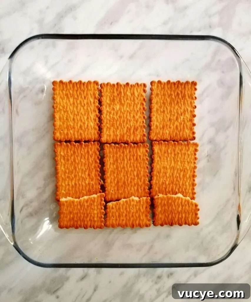 vanilla no bake biscuit cake first cookie layer