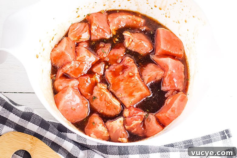 Pork In bowl covered in Asian Marinade