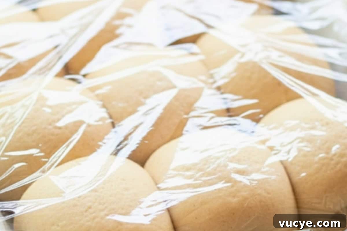 Cover again with plastic wrap and a towel. Let the buns rise in a warm spot for 30 minutes.