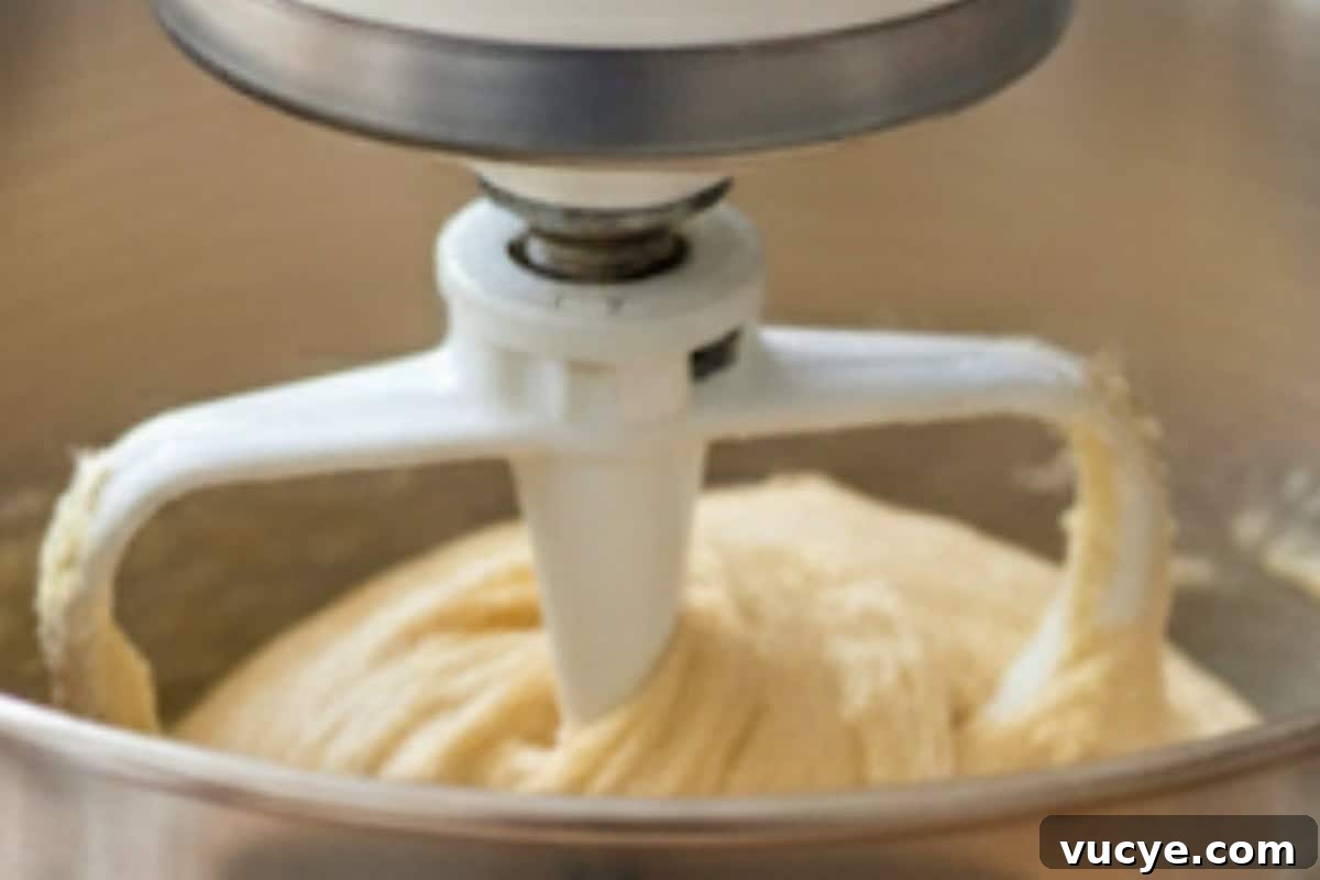 Use a stand mixer on low for 5 minutes until smooth and elastic.