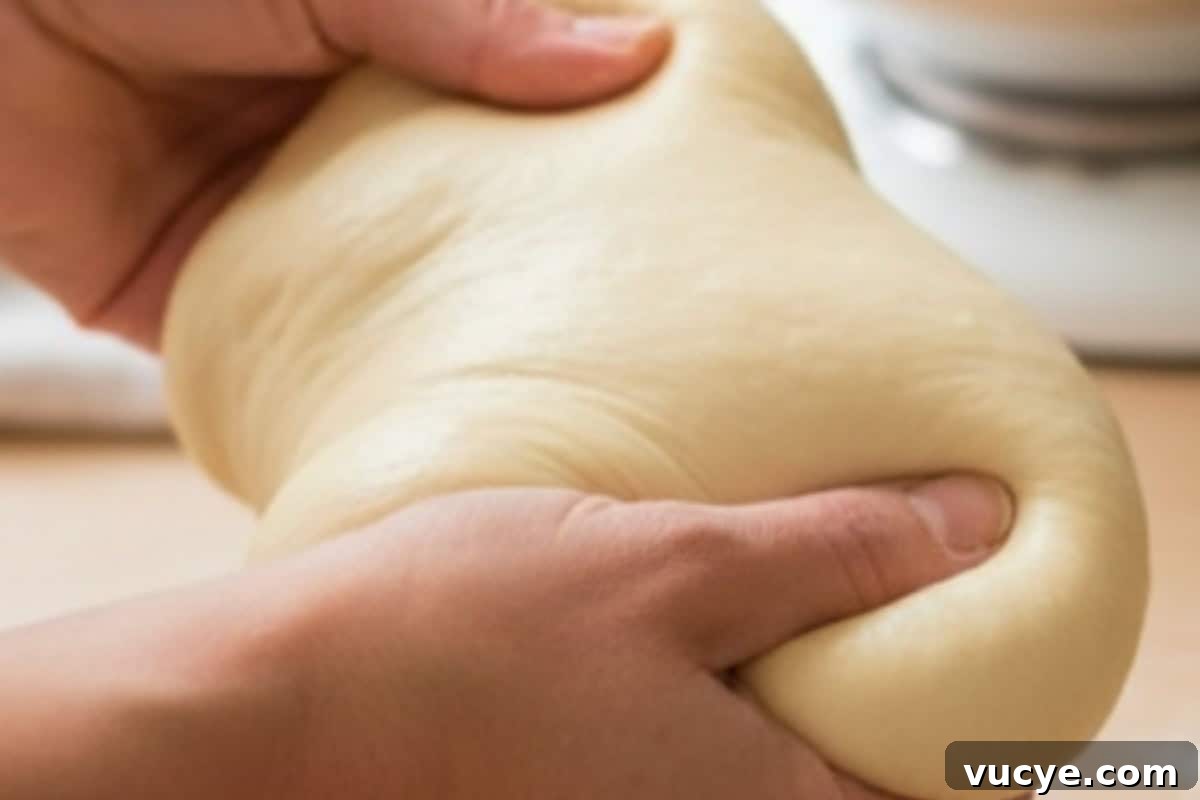 the dough should be soft, stretchy, and smooth on top when pulled gently.