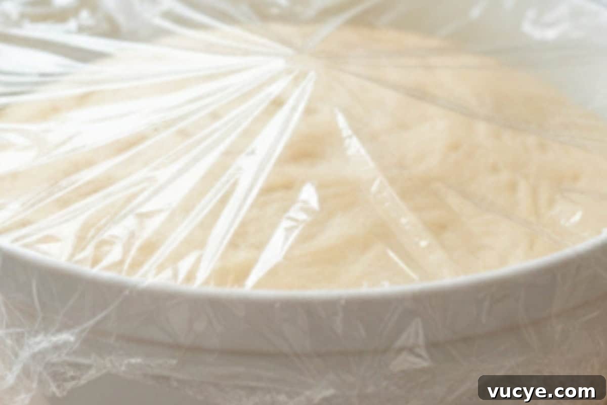 Return the dough, and cover with plastic wrap.