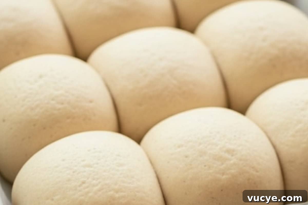 Divide into 12 equal pieces and roll into balls.