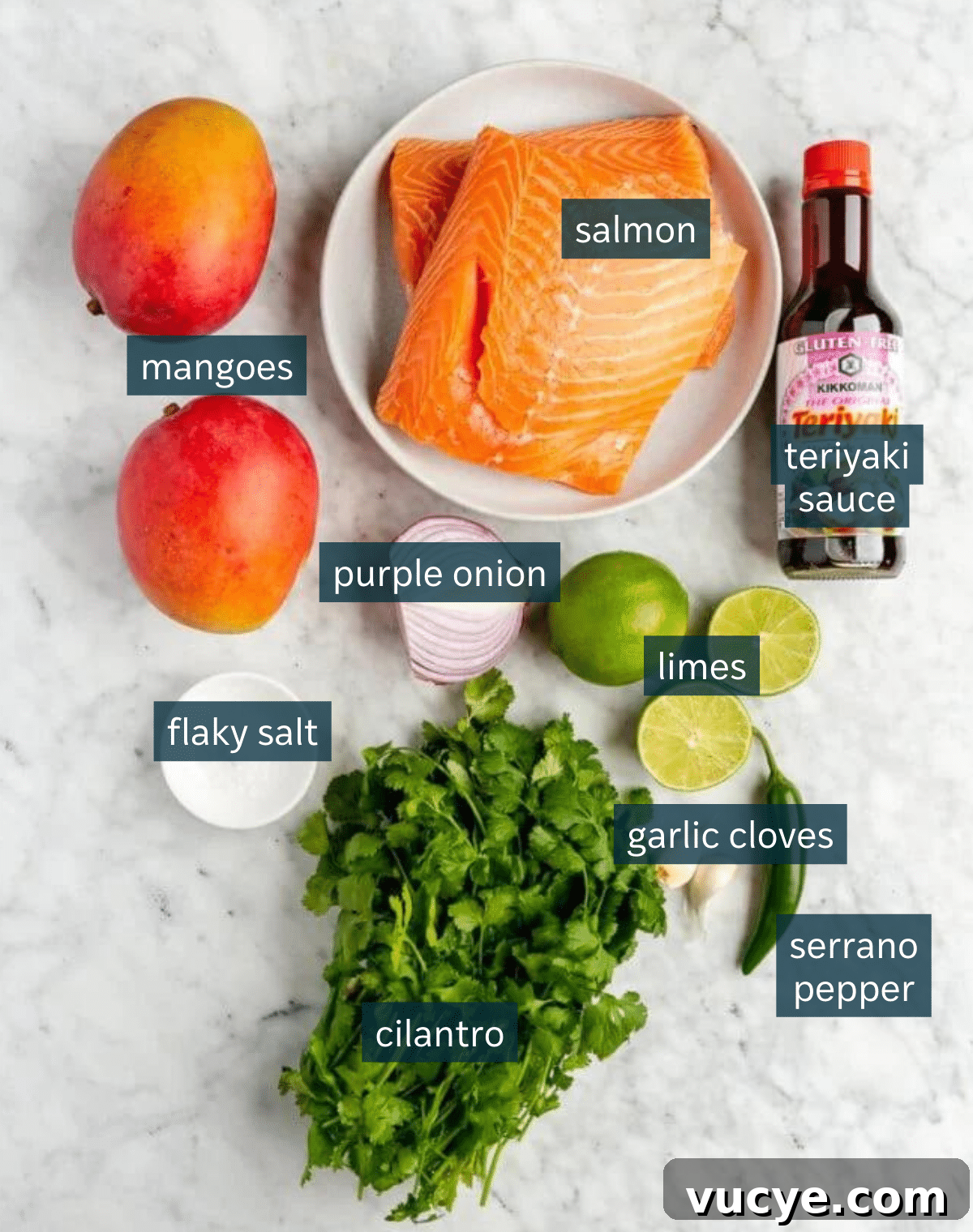 Maple Teriyaki Salmon Rice Bowls with Sesame & Scallions 3 Ingredients for teriyaki salmon bowls sit on a a marble countertop.