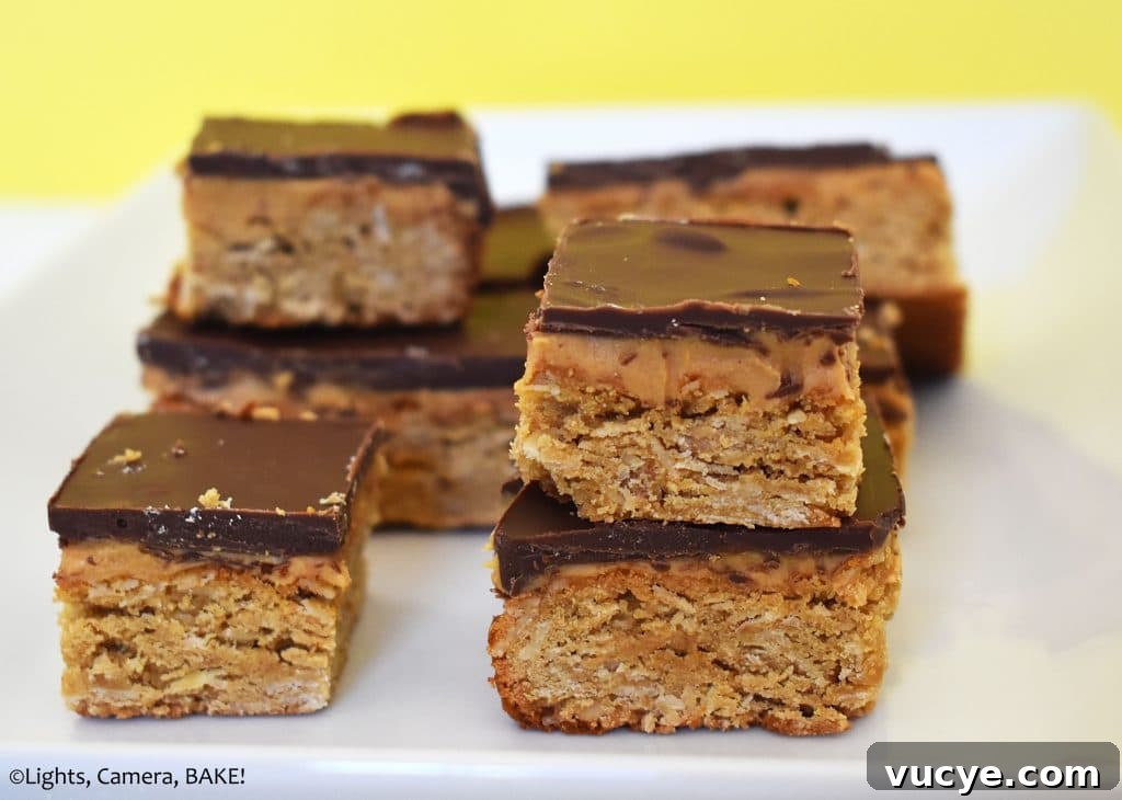 Chocolate peanut butter oat bars.