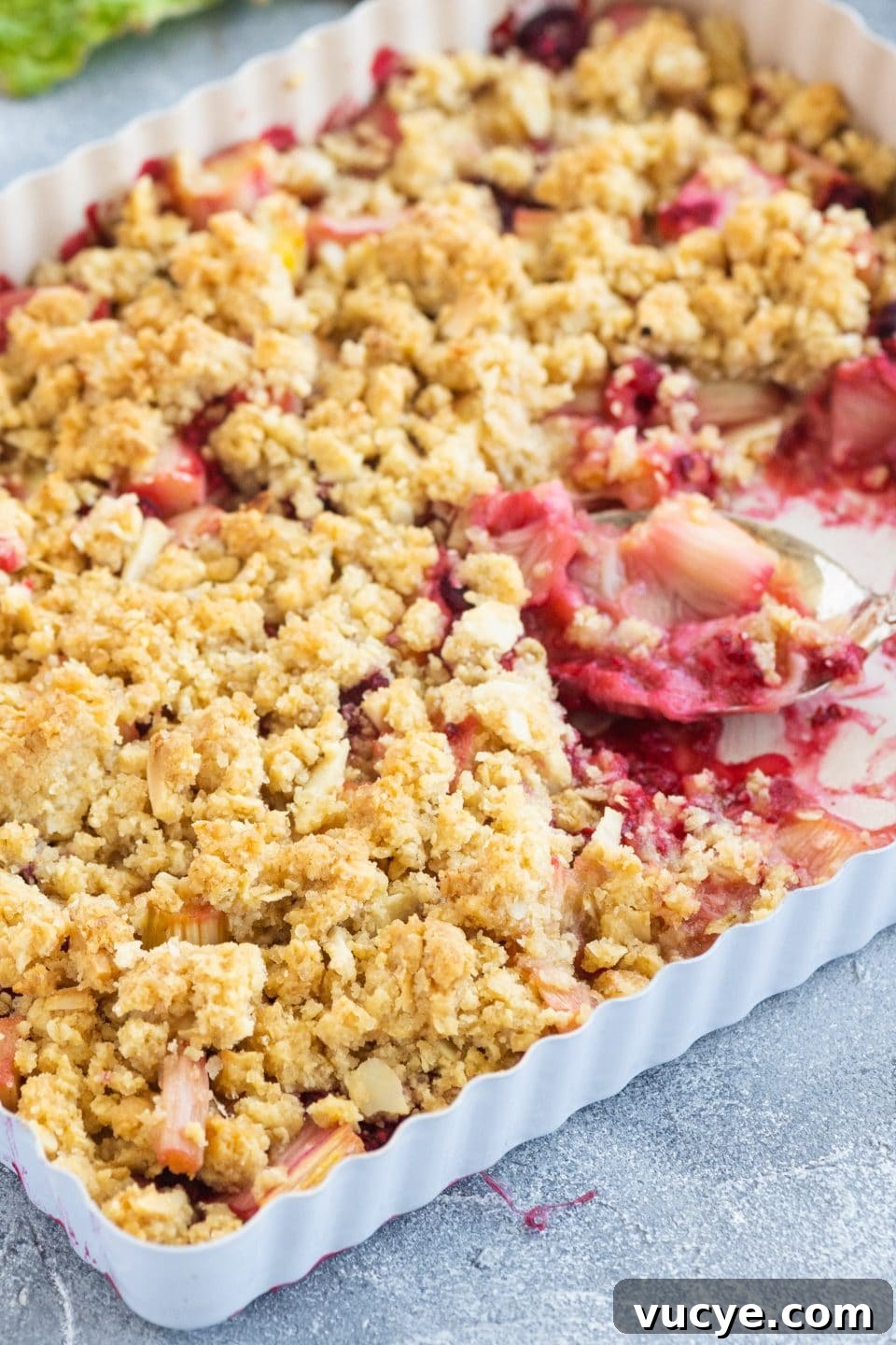 Perfect Rhubarb Crumble Recipe with Buttery Oat Topping 3 rhubarb-crumble